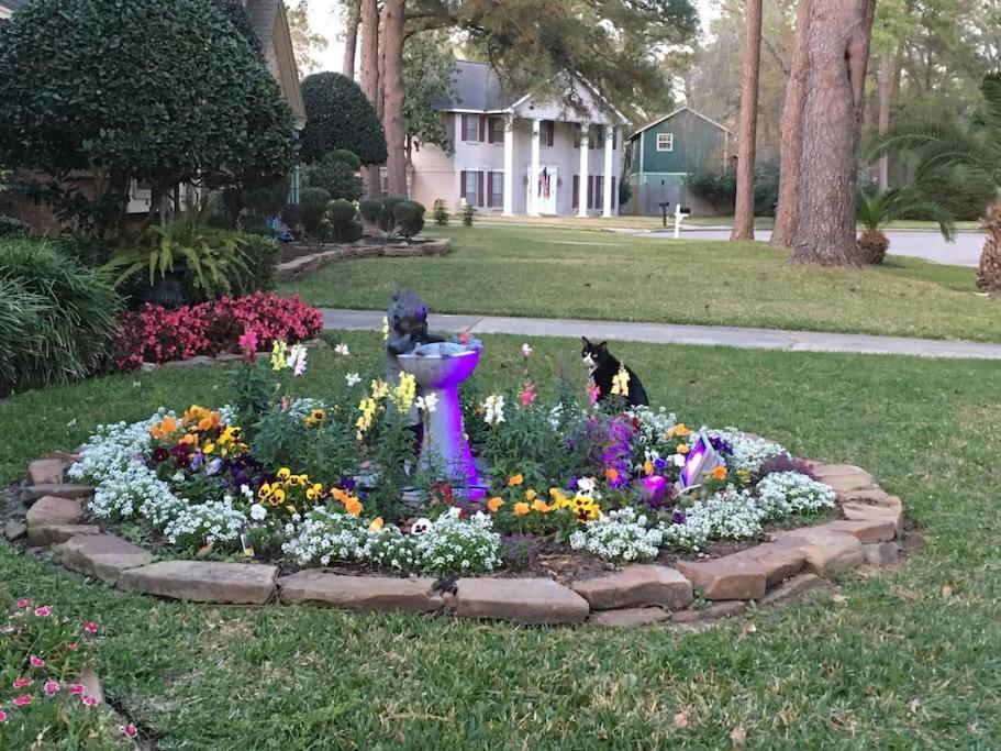 2 Luxury Near Airport & The Woodlands Houston